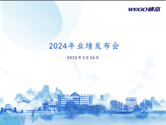 威高股份：2024年年度業(yè)績